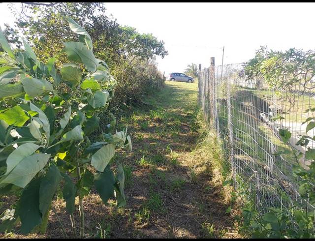 4 BEDROOM HOUSE FOR SALE IN UMGABABA